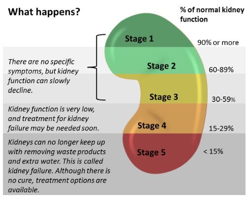 CKD